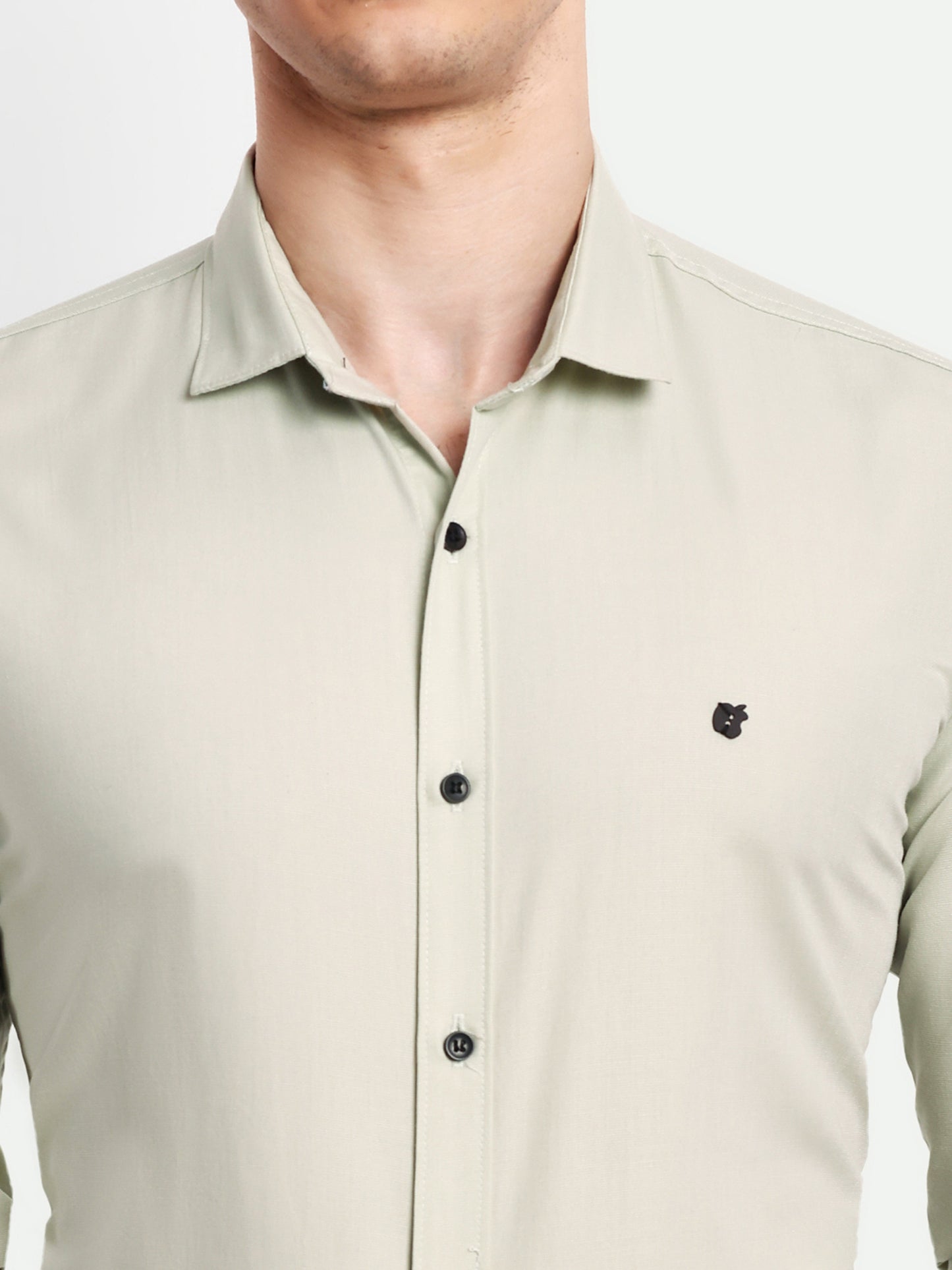 Pista Green Viscose Rayon Solid Shirt