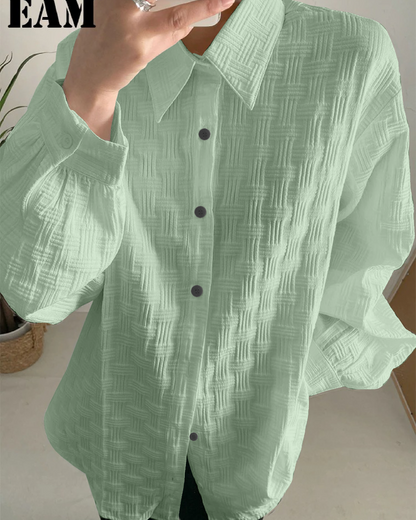 Snazzy pistachio Textured Regular Fit Shirt